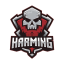 harming Minecraft server icon