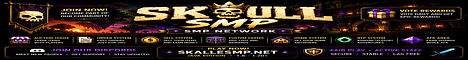 Banner SkullSMP
