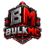 BulkMC Minecraft server icon