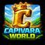 CapivaraWorld Minecraft server icon