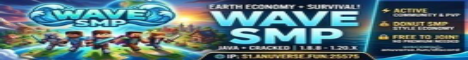 Banner Wave SMP