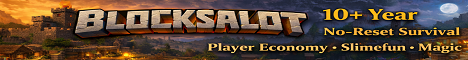 Banner Blocksalot