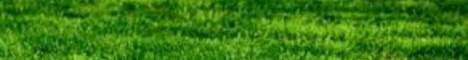 Banner GrassMC