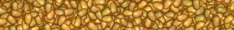Banner BakaPotato