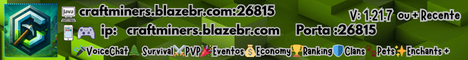 Banner CraftMiners