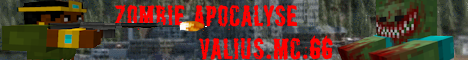 Banner Valius