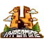 Drizzard Minecraft server icon
